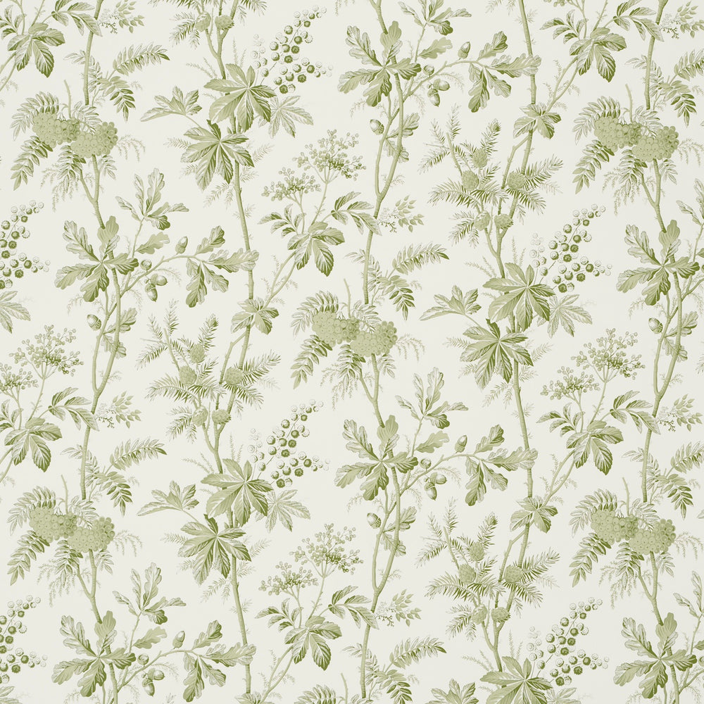 BRANTWOOD VINE | Leaf