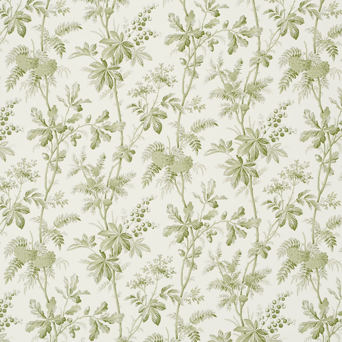 BRANTWOOD VINE | Leaf