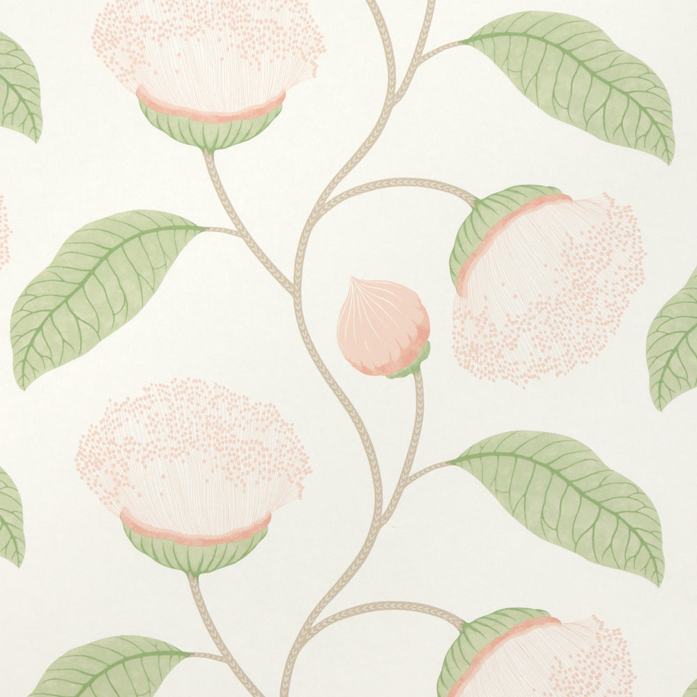 CELINDA | Blush