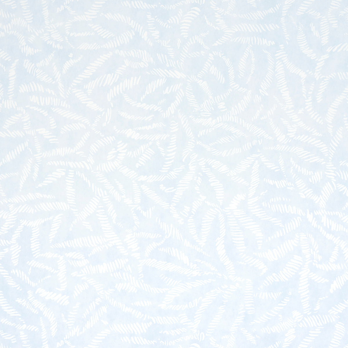 FIORITURA DELLE FOGLIE | CIELO