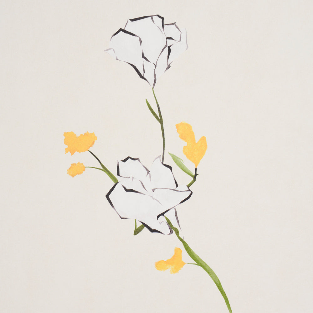 FLOREALE DI ALEX | narciso