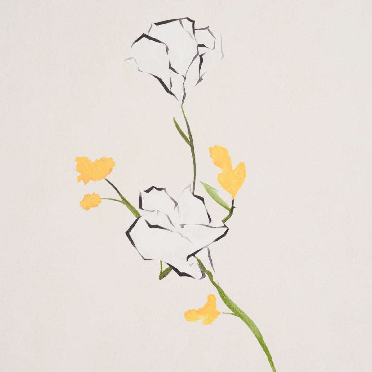 FLOREALE DI ALEX | narciso
