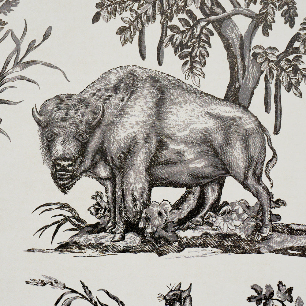 Western Toile | Carbon