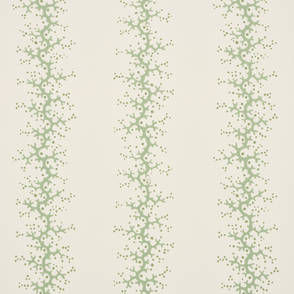 CORAL STRIPE | Green