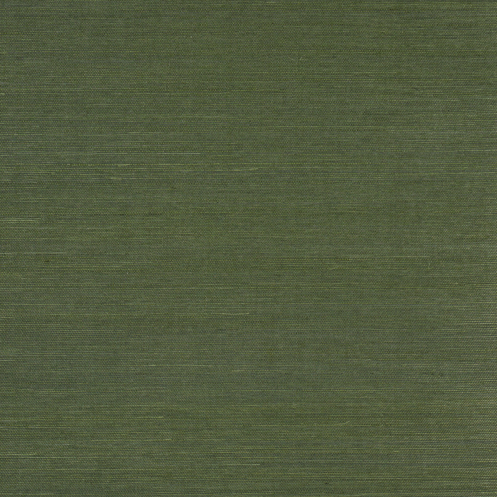 HARUKI SISAL | Night On Earth