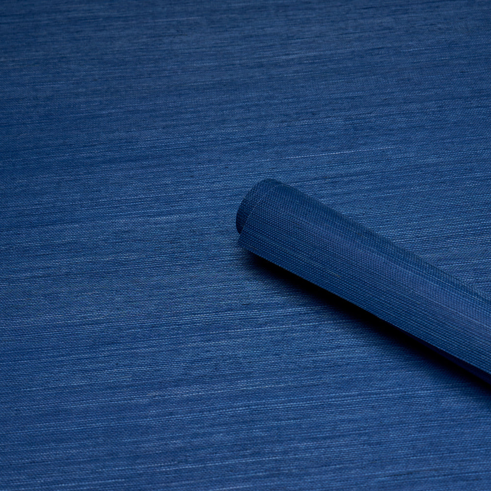 HARUKI SISAL | Blue Is The Coolest Color