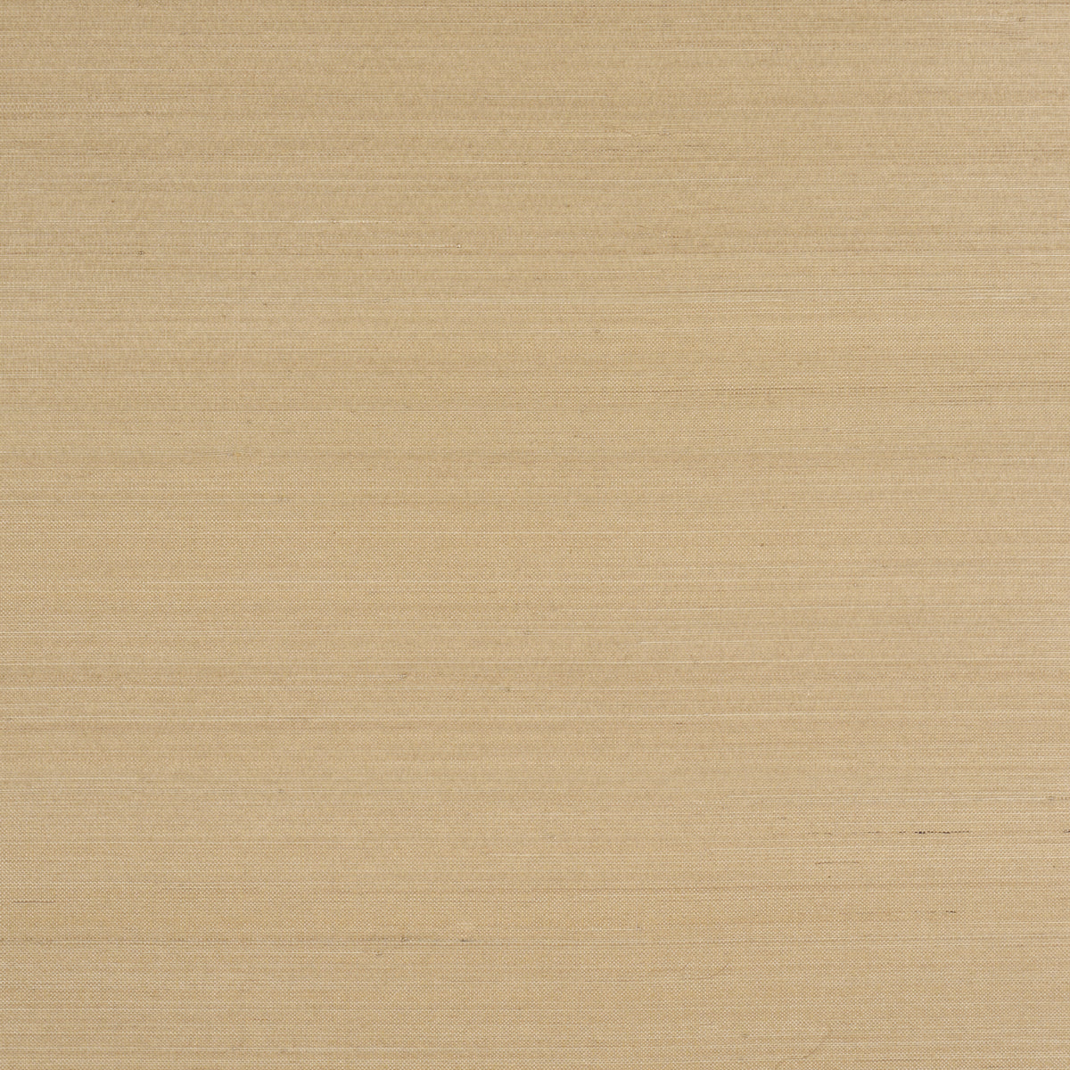 MUSA ABACA WALLCOVERING | Soft Gold