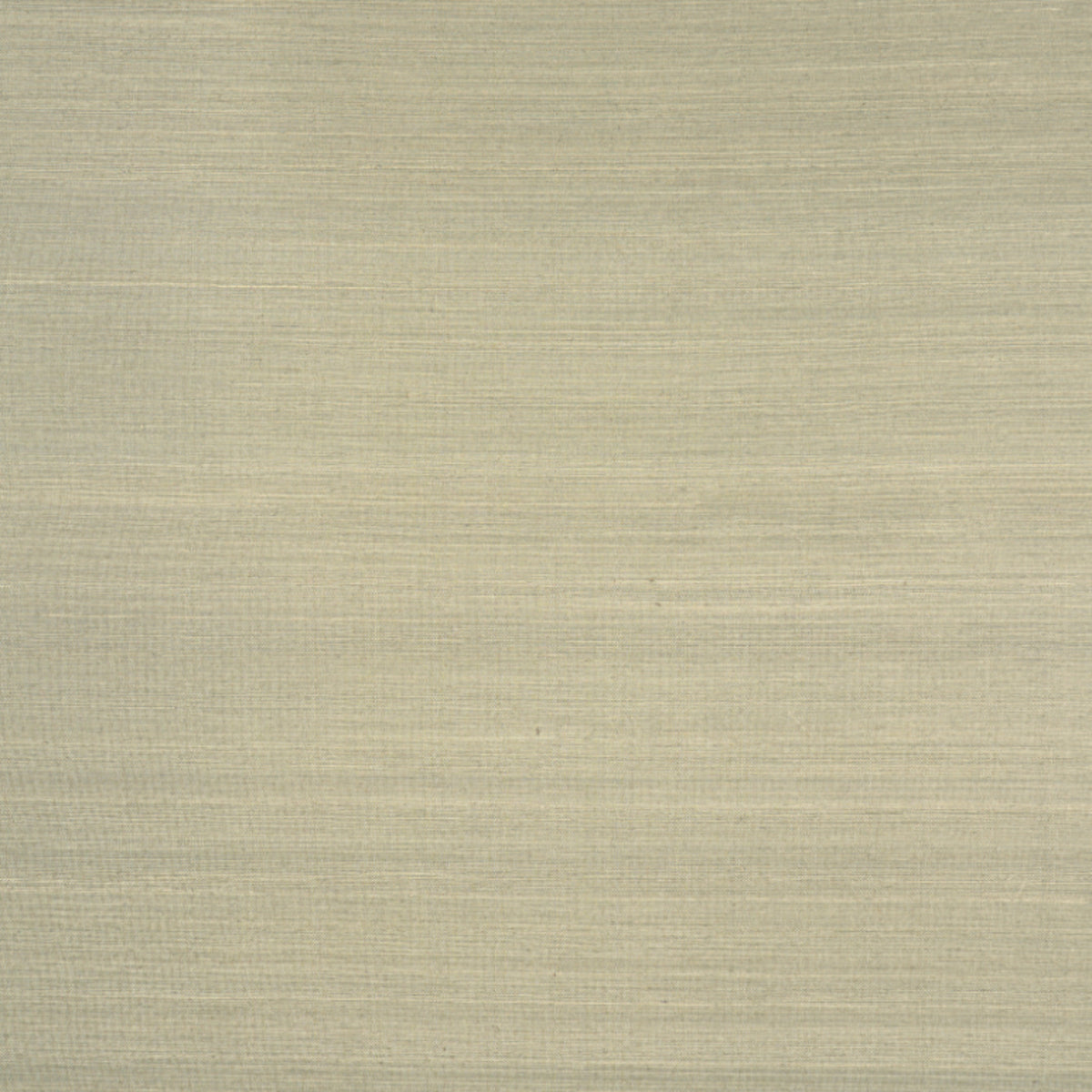 MUSA ABACA WALLCOVERING | Eucalyptus