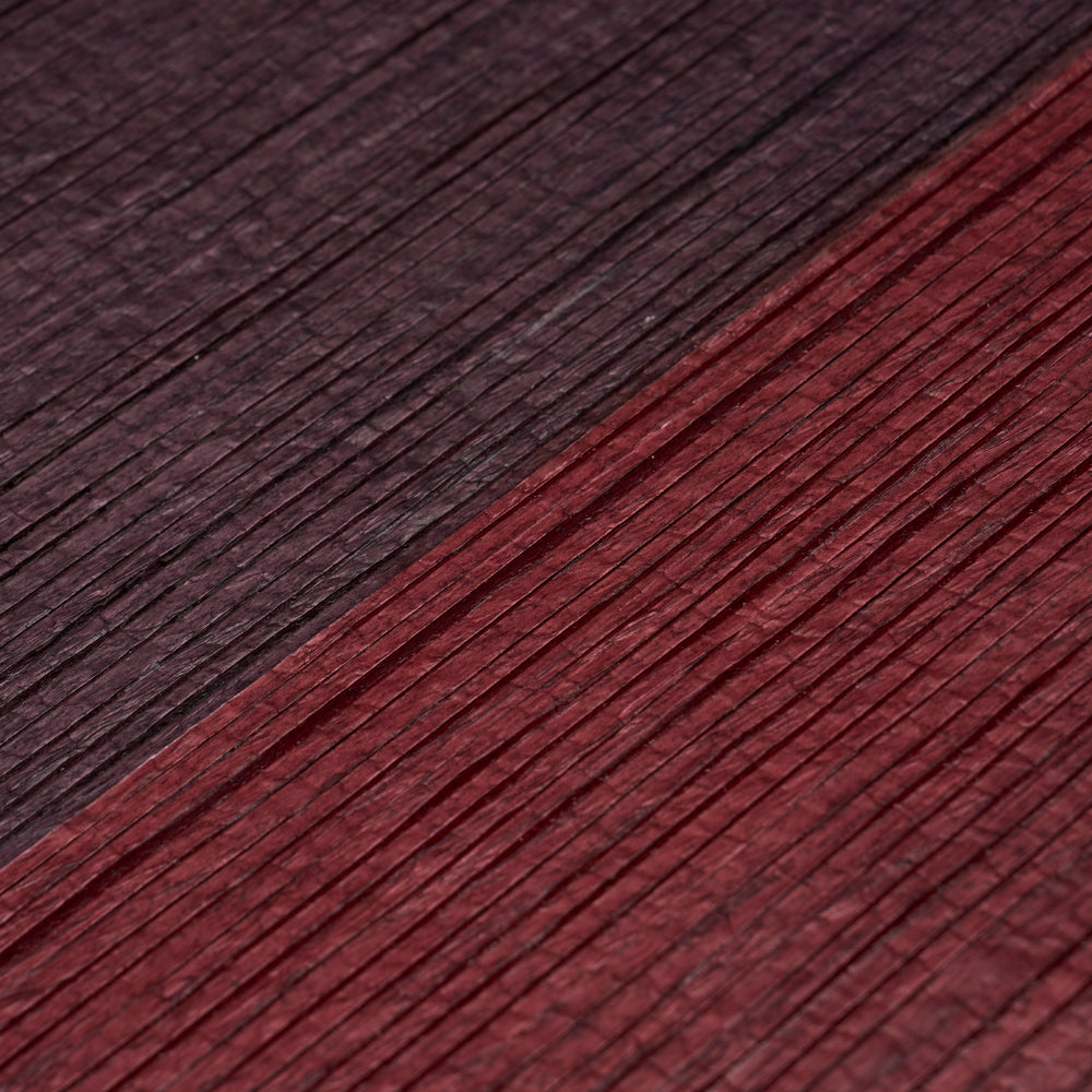 BACKDROP PAINTER'S STRIPE | Self-Portrait