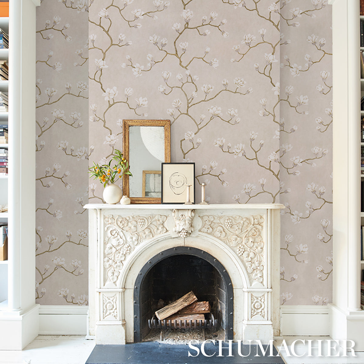 MAGNOLIA TREE | Grisaille