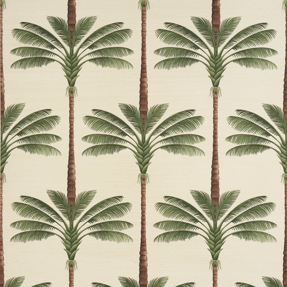 A PALM IS A PALM SISAL | Daylight Evergreen