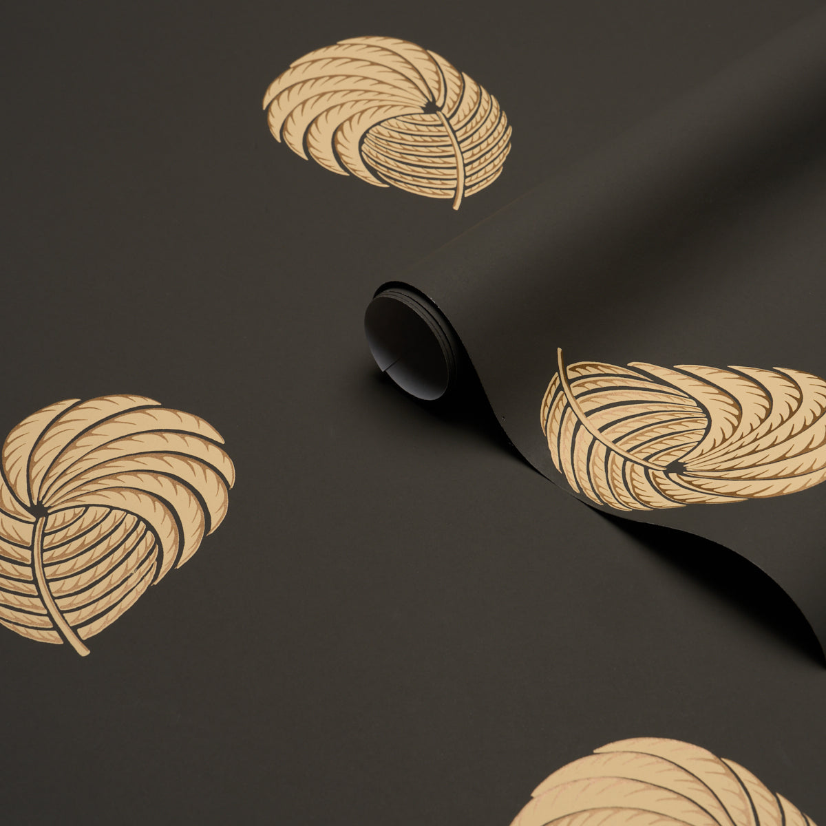 ROYAL PLUME | Carbon
