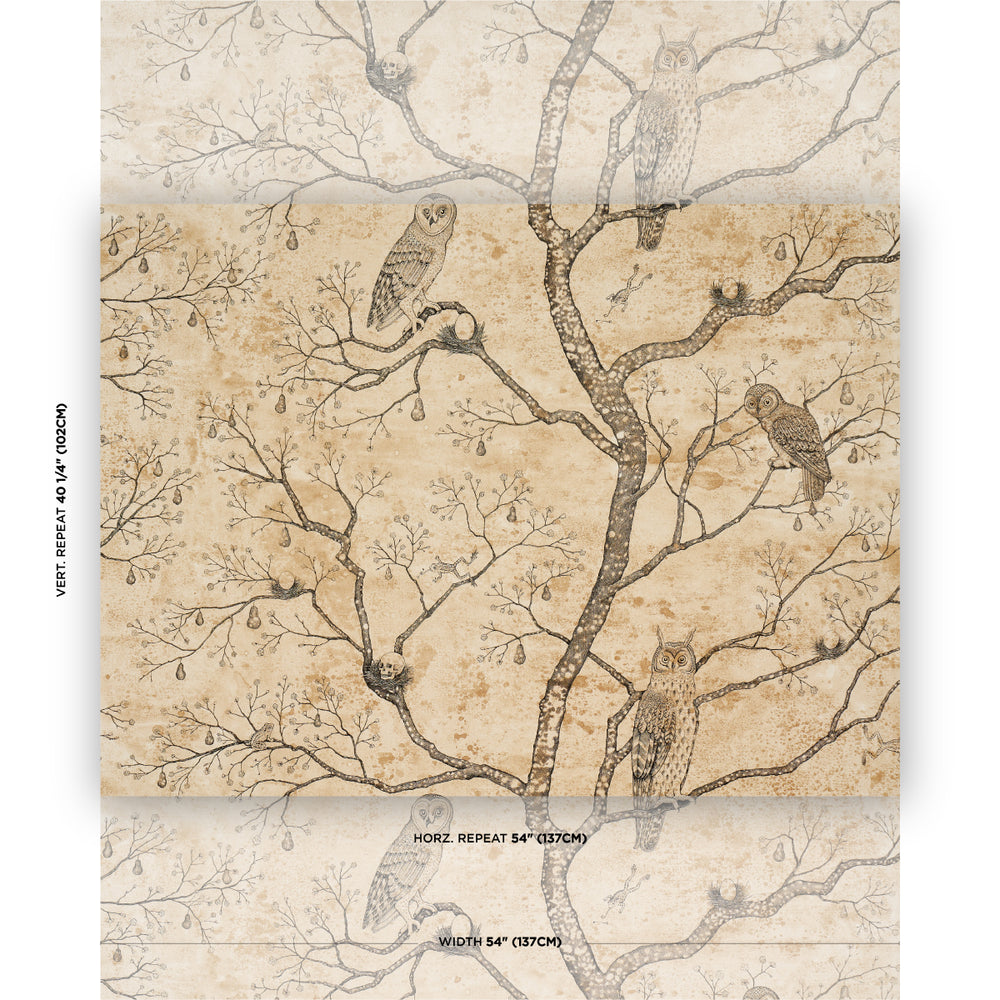 L’ATTESA NELLA NOTTE | Parchment