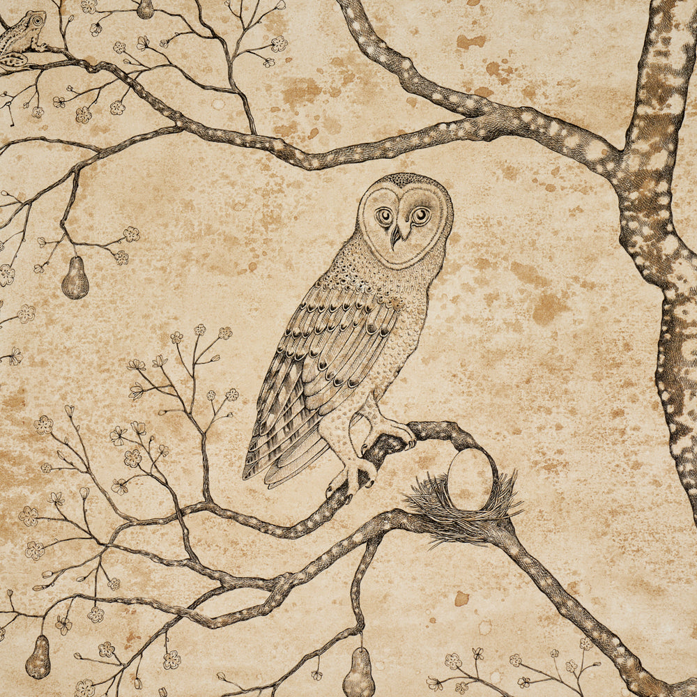 L’ATTESA NELLA NOTTE | Parchment