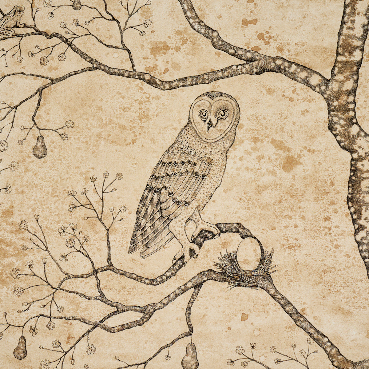 L’ATTESA NELLA NOTTE | Parchment