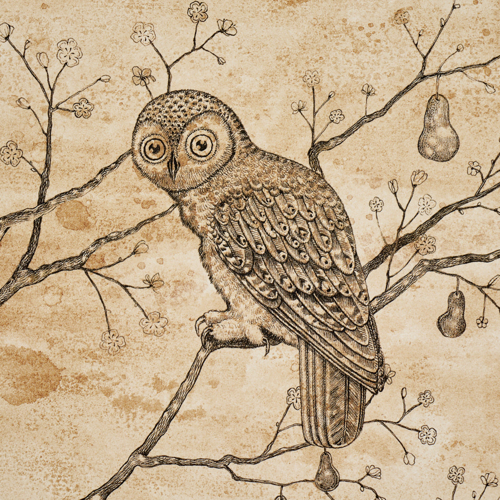 L’ATTESA NELLA NOTTE | Parchment
