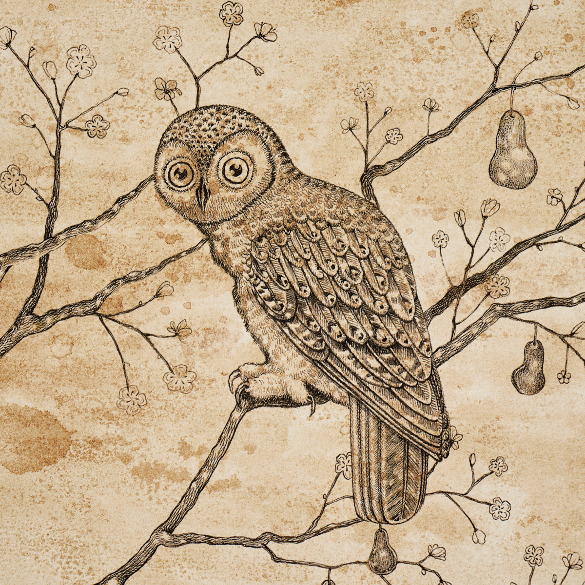 L’ATTESA NELLA NOTTE | Parchment