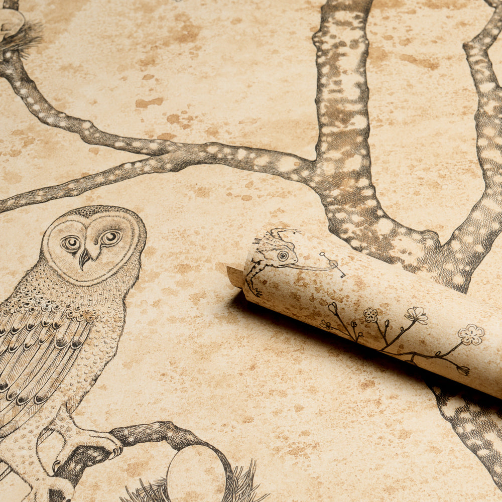 L’ATTESA NELLA NOTTE | Parchment