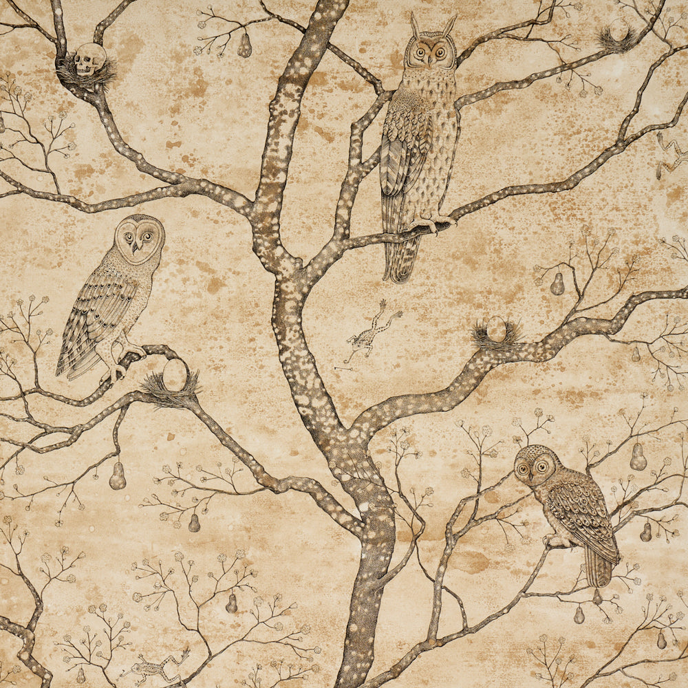L’ATTESA NELLA NOTTE | Parchment