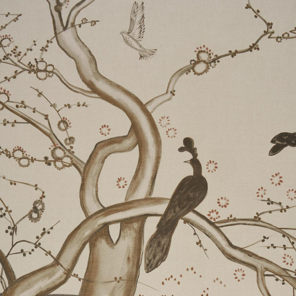 BIRDSONG 3 PANEL SET | Carbon