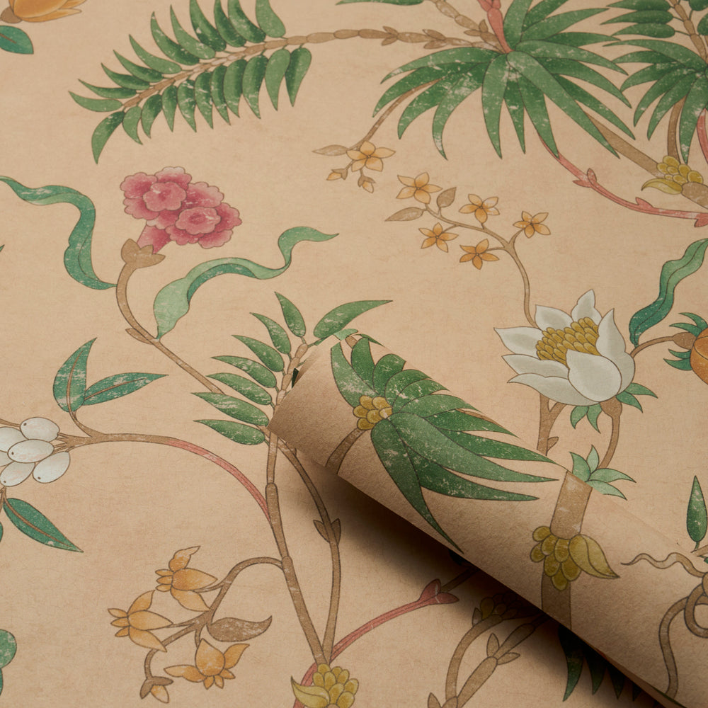 ARASI BOTANICAL | Coral