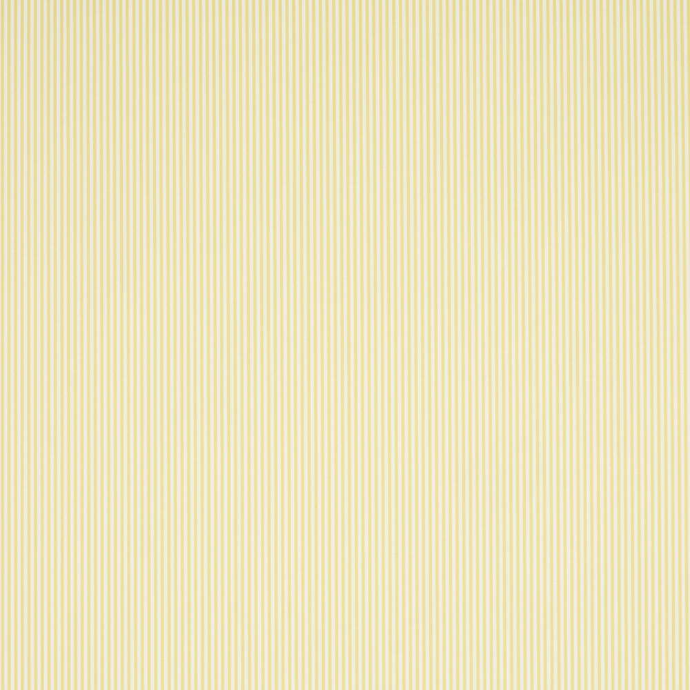 EMMA STRIPE NARROW | Yellow