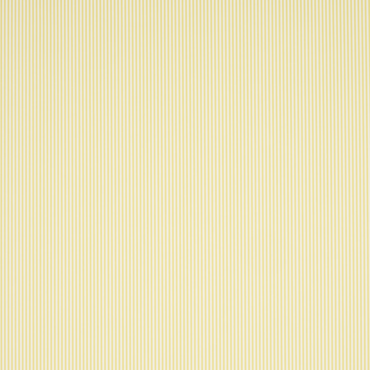 EMMA STRIPE NARROW | Yellow