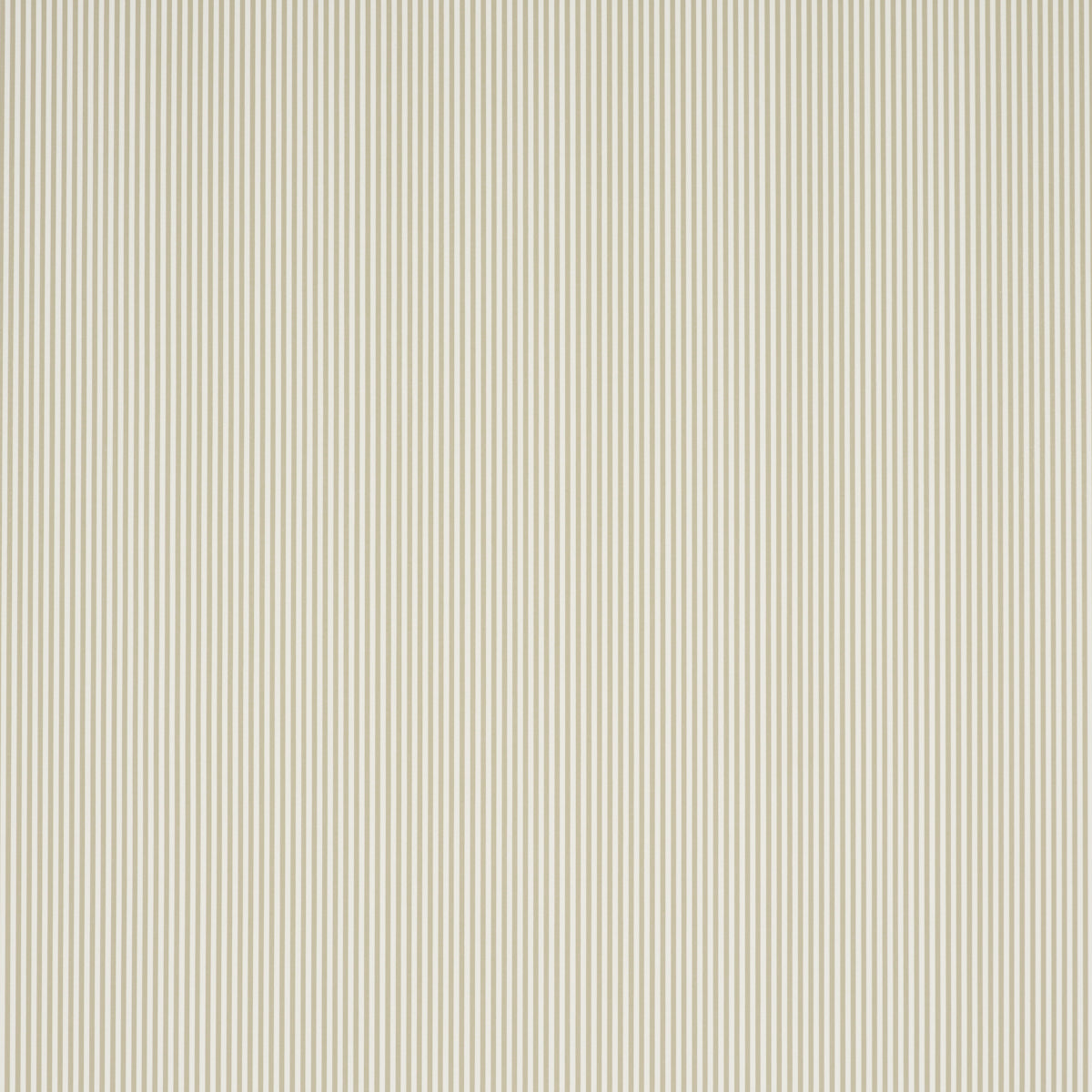 EMMA STRIPE NARROW | Neutral