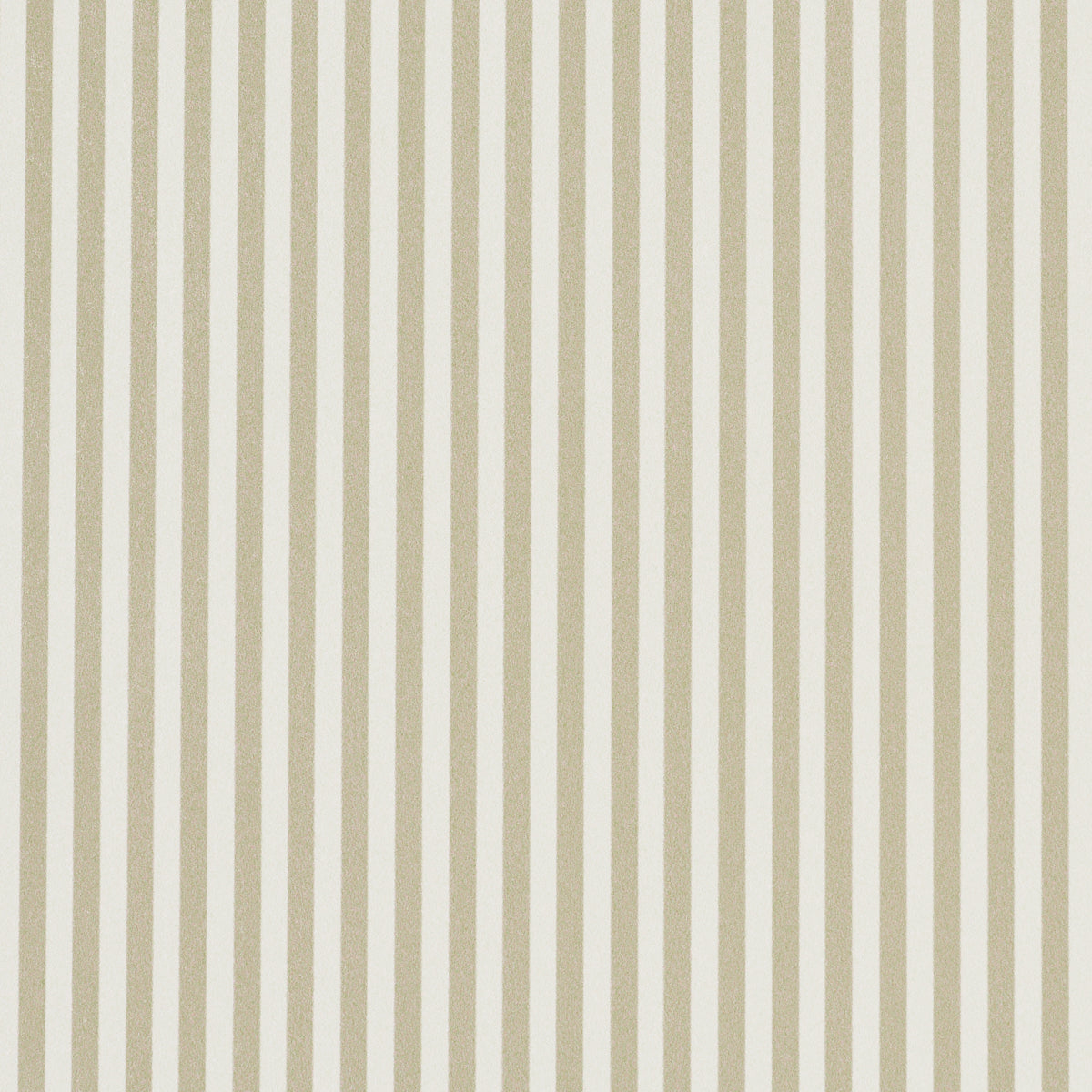 EMMA STRIPE NARROW | Neutral