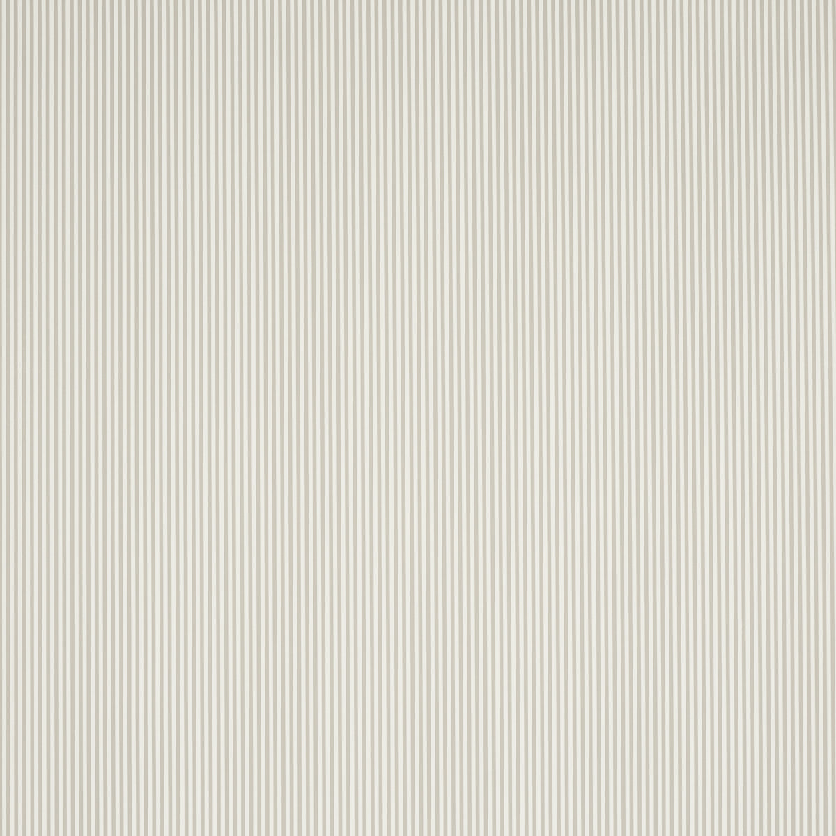 EMMA STRIPE NARROW | Stone