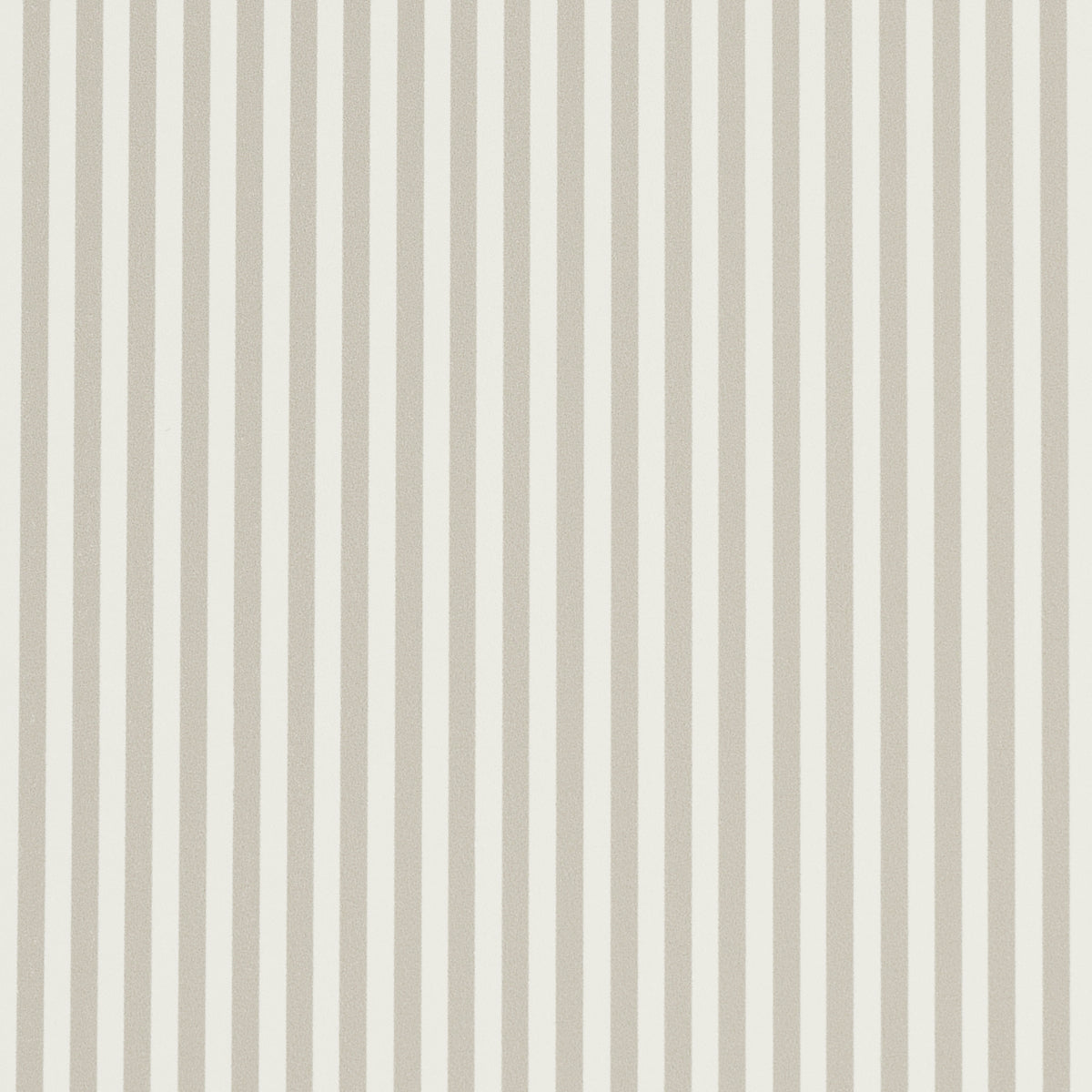 EMMA STRIPE NARROW | Stone