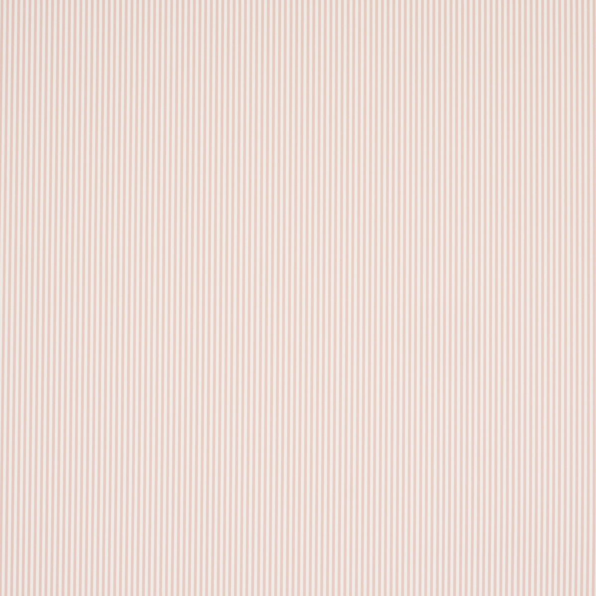 EMMA STRIPE NARROW | Blush