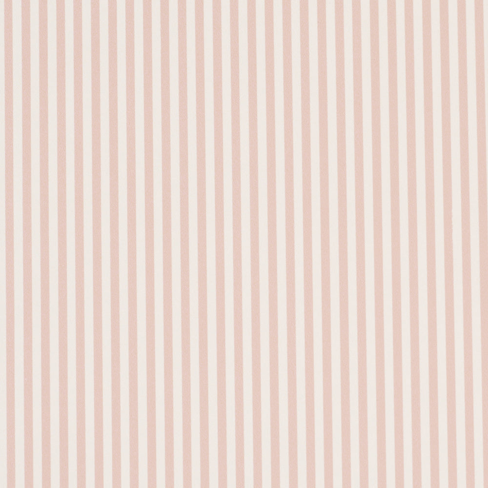 EMMA STRIPE NARROW | Blush