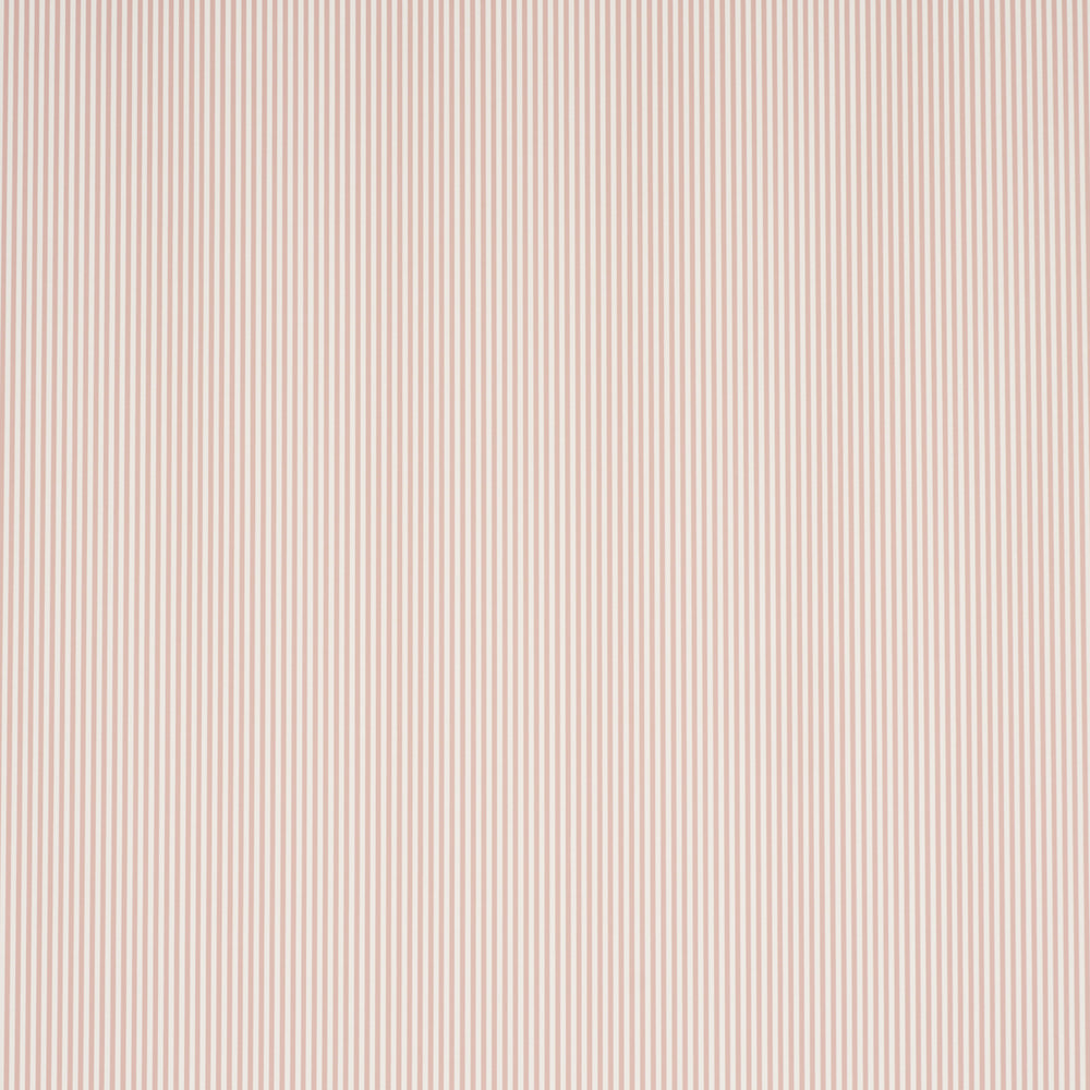 EMMA STRIPE NARROW | Rose