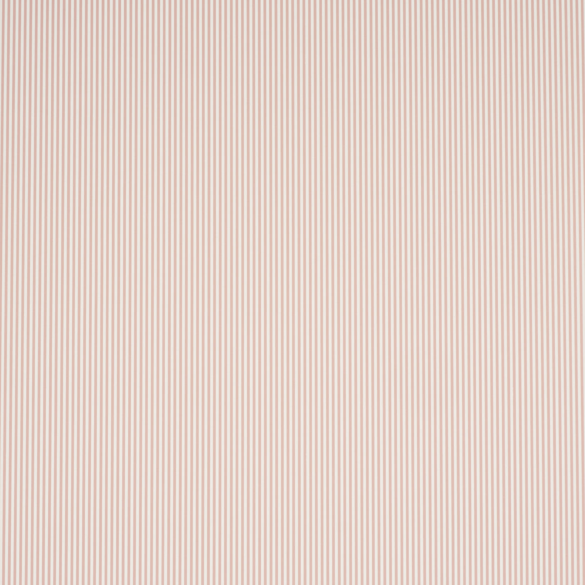 EMMA STRIPE NARROW | Rose