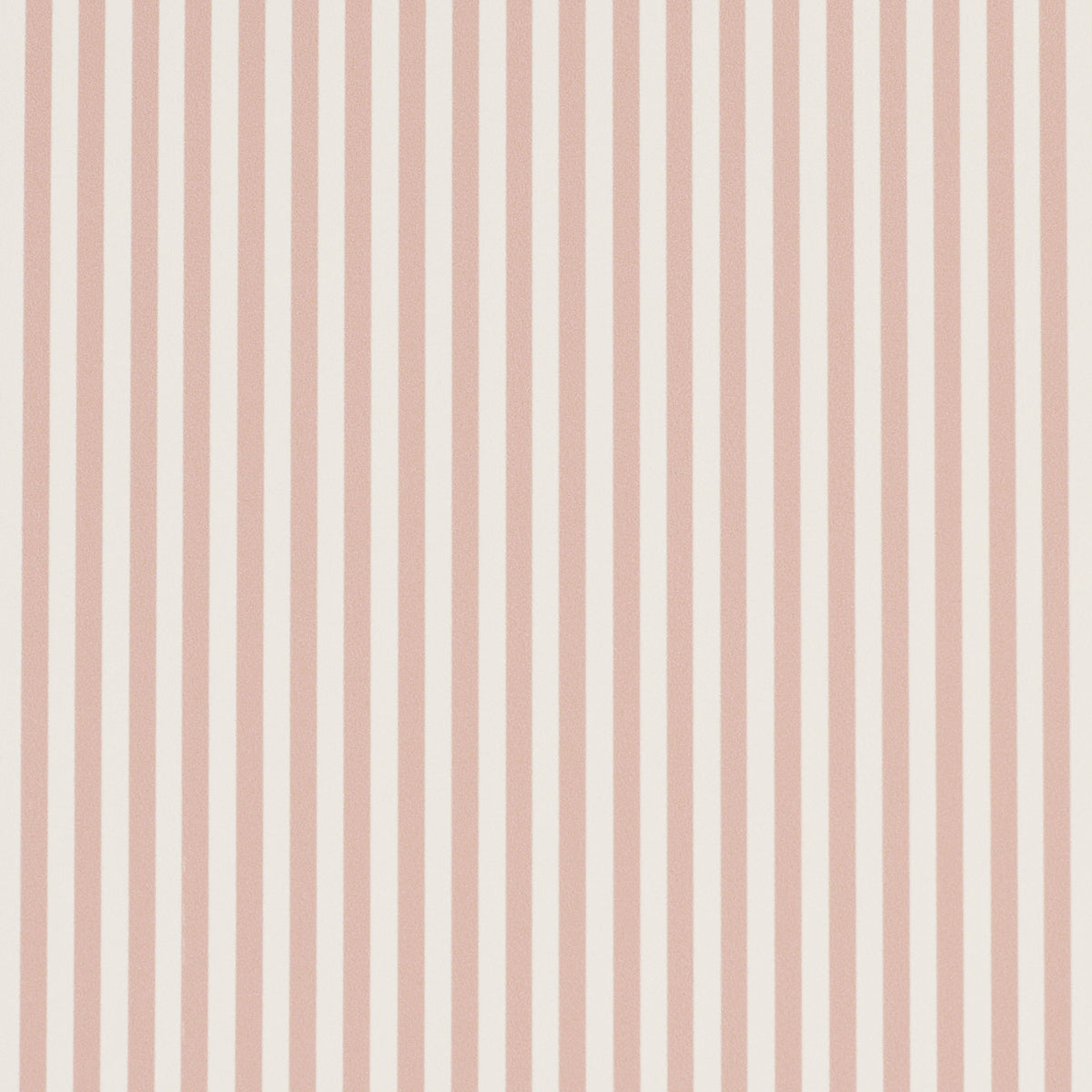 EMMA STRIPE NARROW | Rose