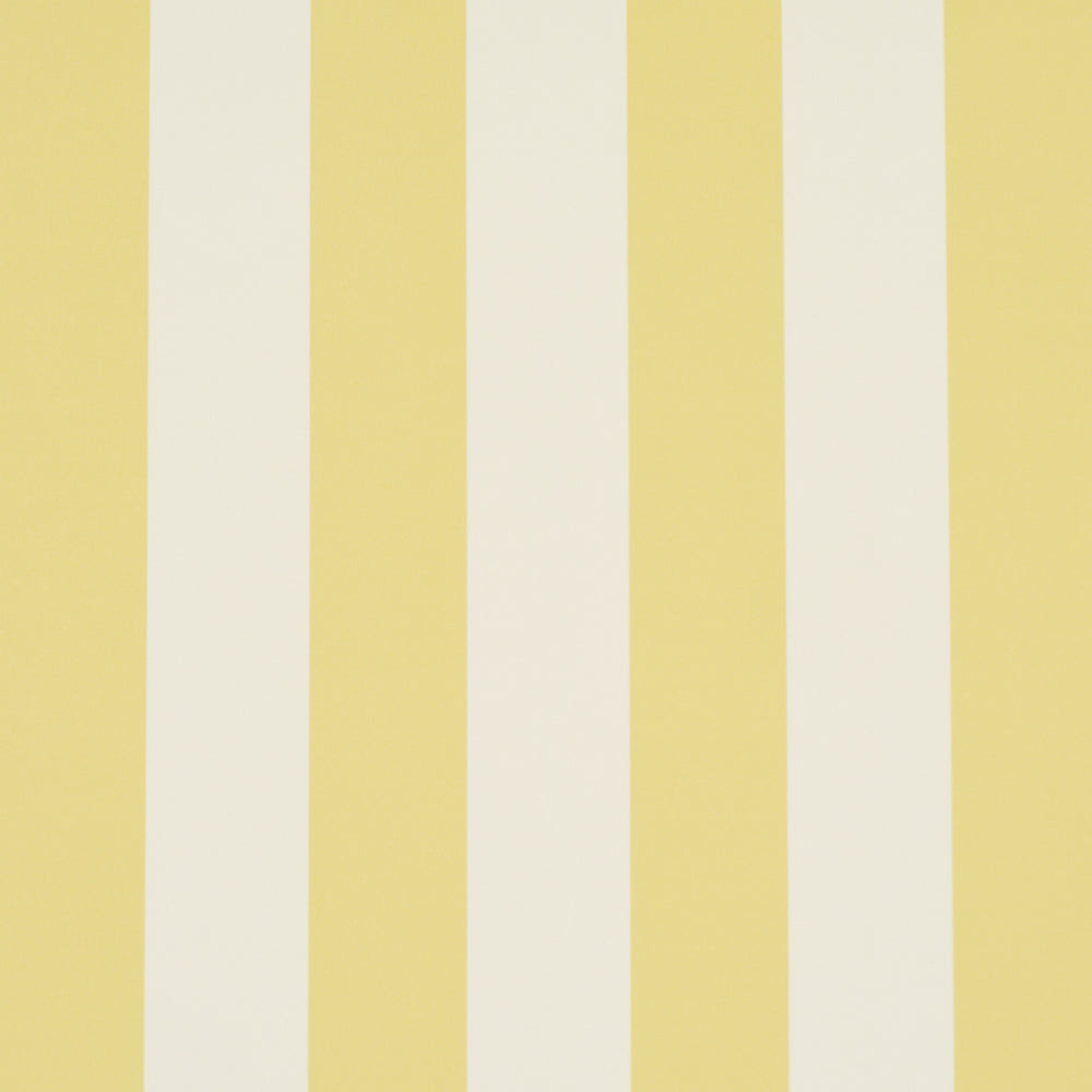 EMMA STRIPE | Yellow