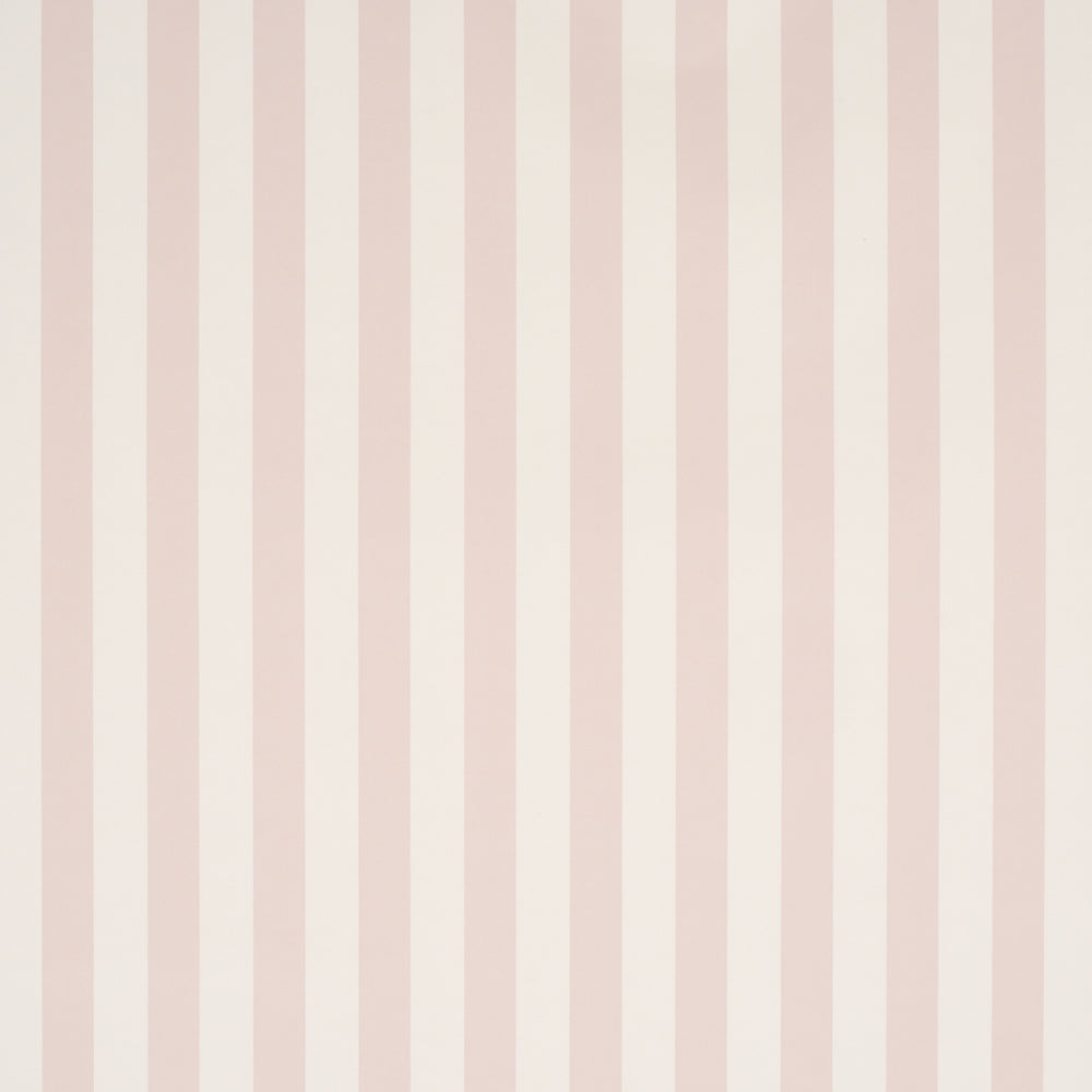 EMMA STRIPE | Petal