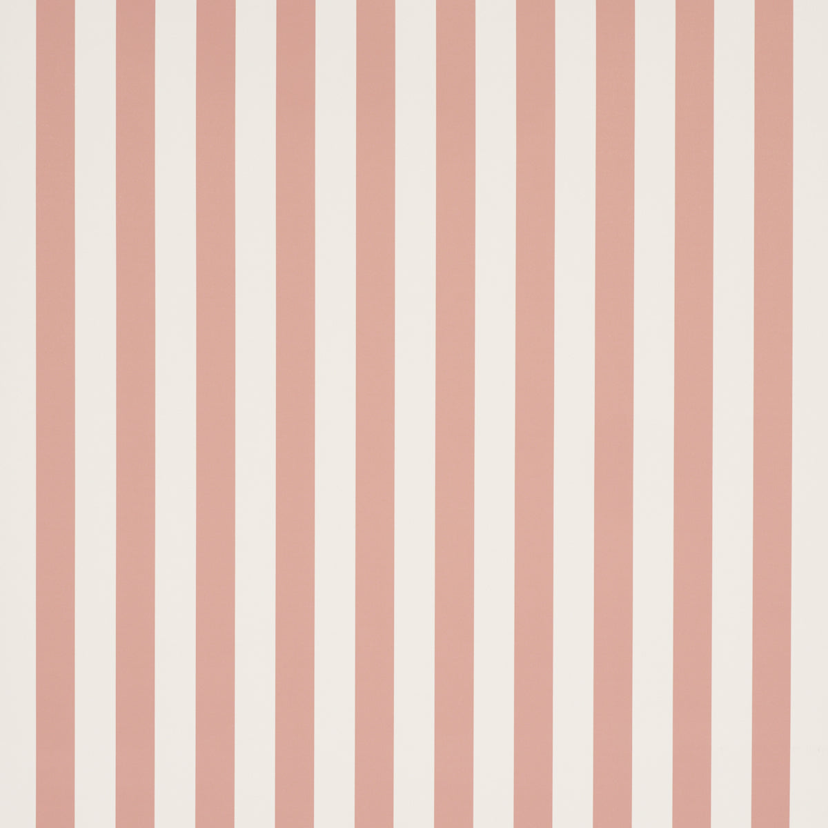 EMMA STRIPE | Coral