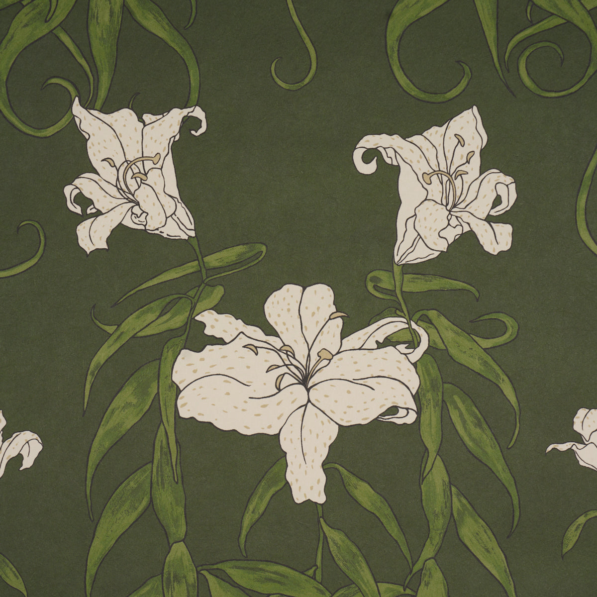 LADY LILITH | Olive
