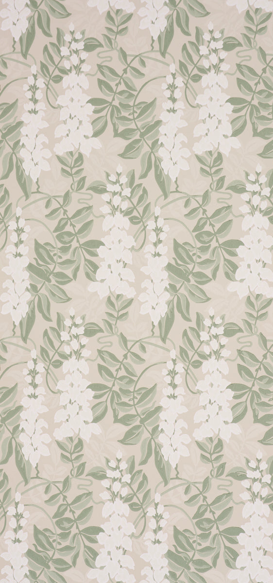 LUCIA WISTERIA | Sage
