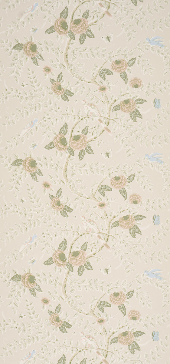 TOLE BIRD | Petal