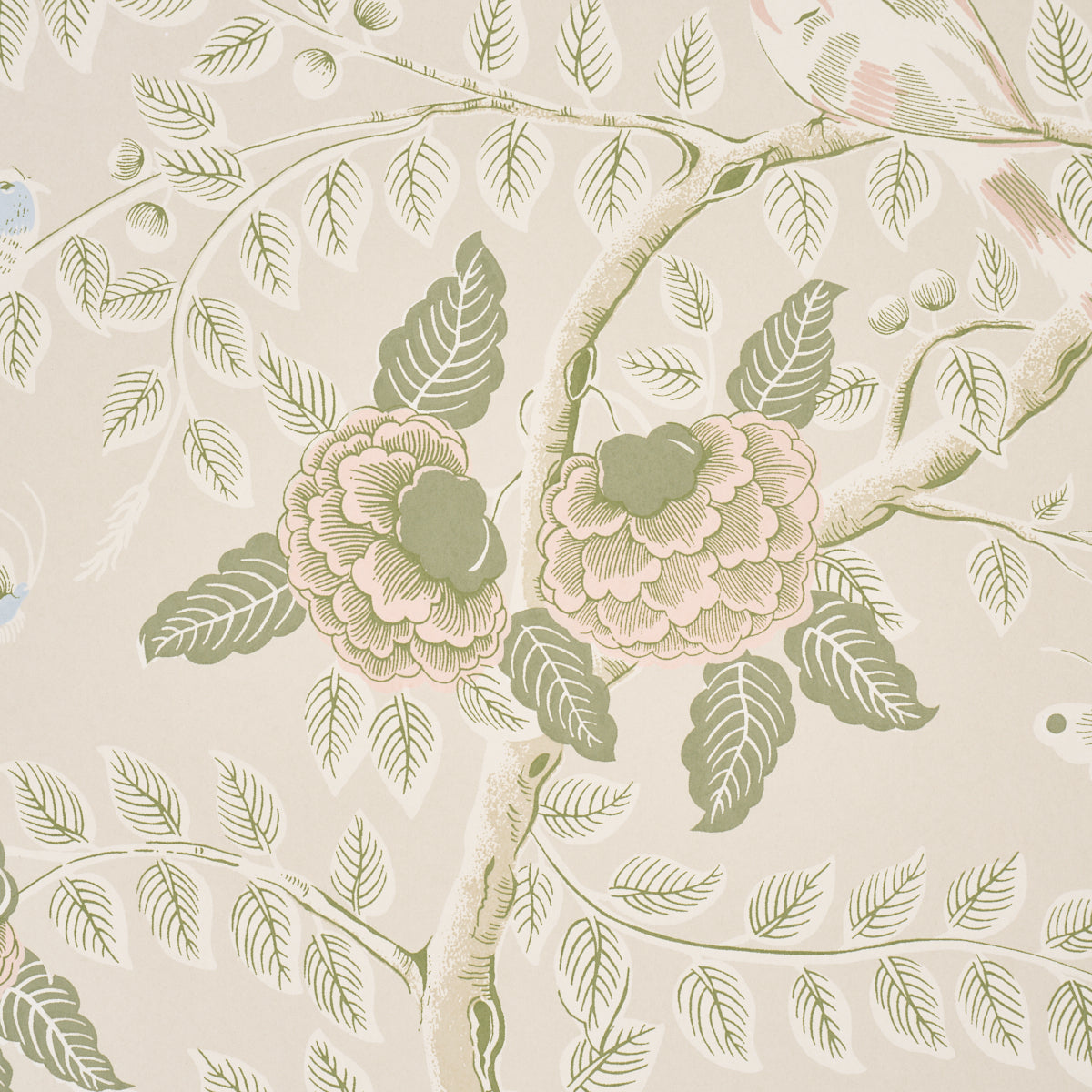 TOLE BIRD | Petal