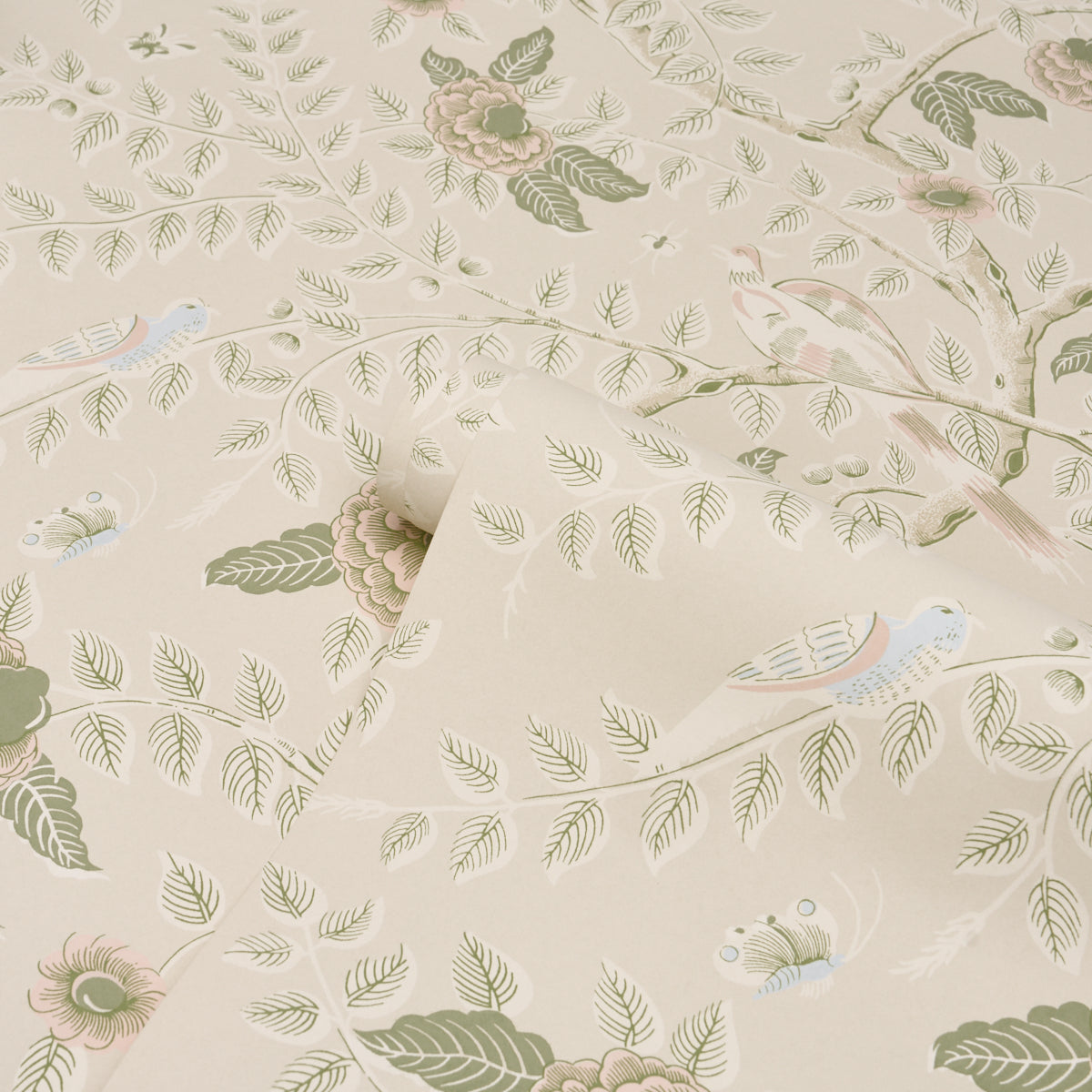 TOLE BIRD | Petal