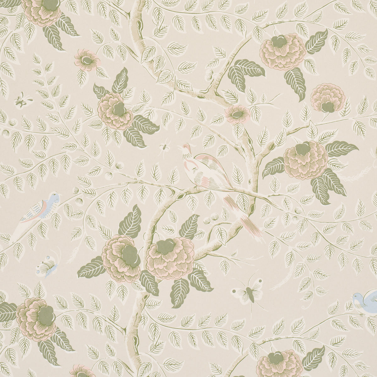 TOLE BIRD | Petal