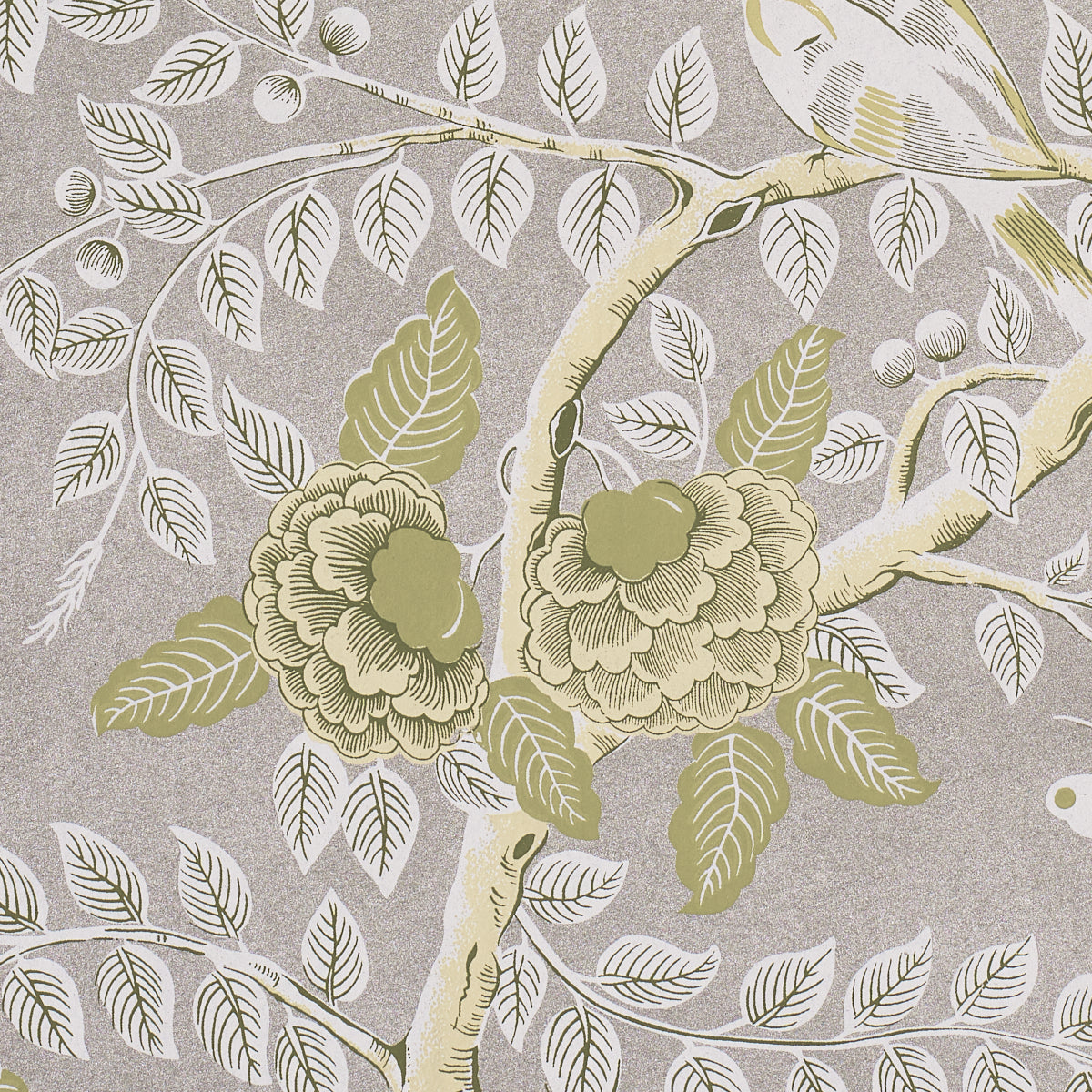 TOLE BIRD | Spring