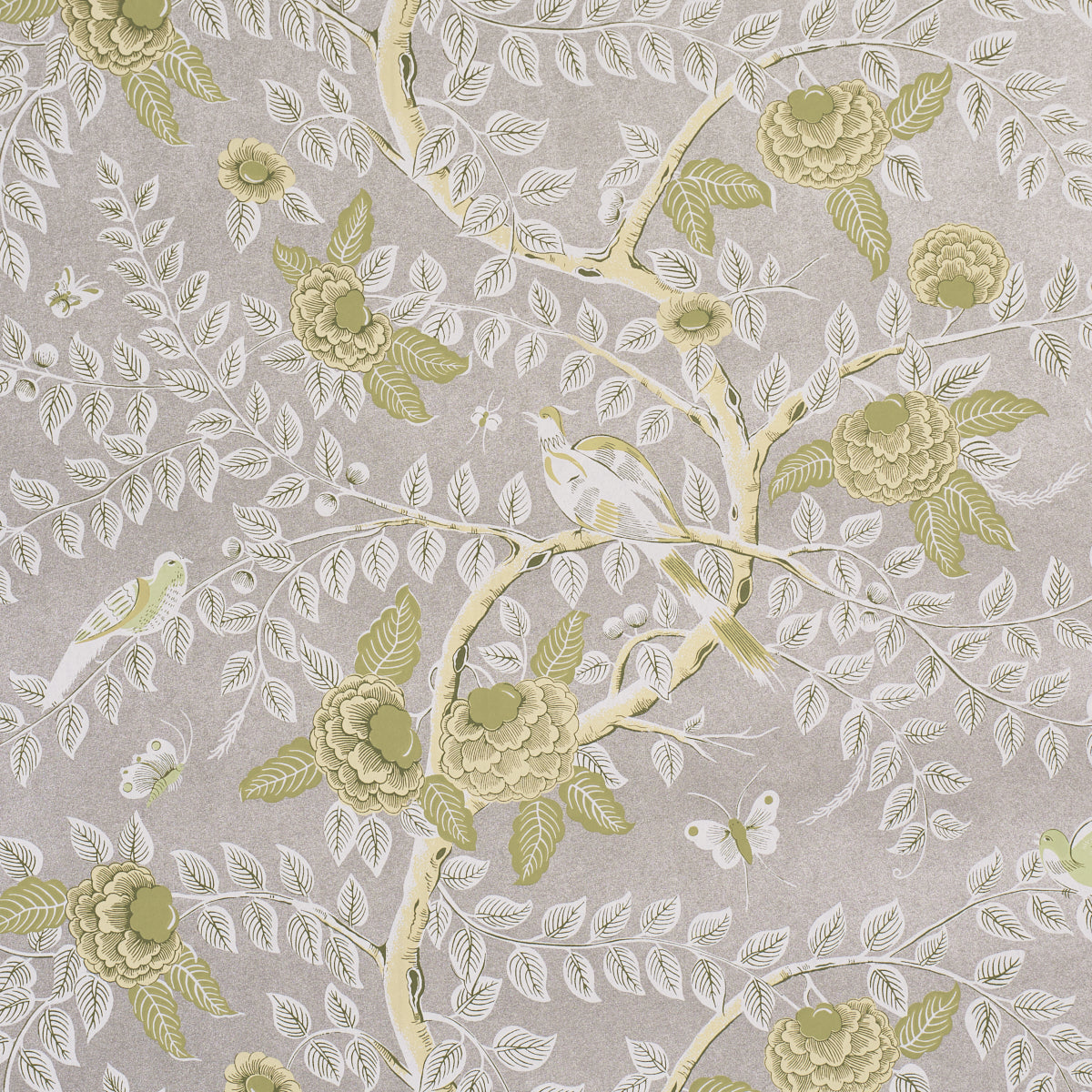 TOLE BIRD | Spring