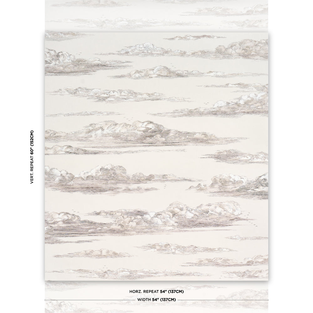 MR. DARCY'S CLOUDS | Grisaille