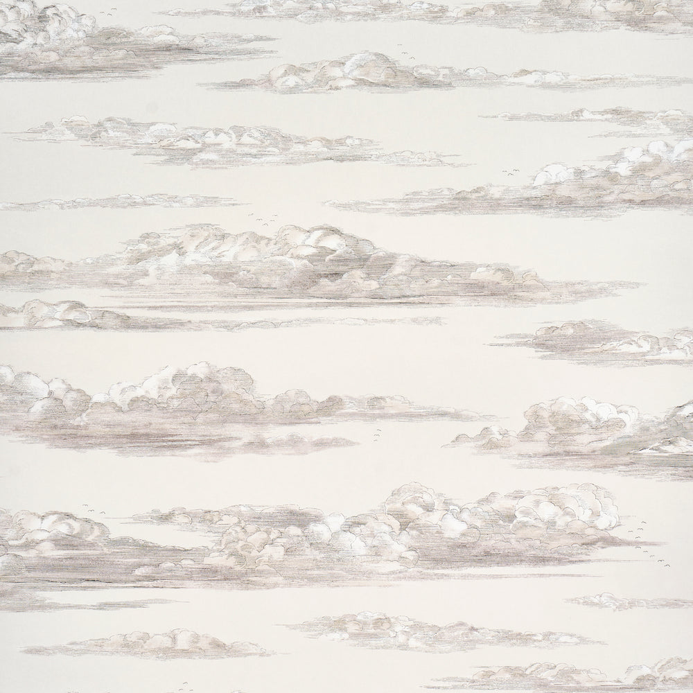 MR. DARCY'S CLOUDS | Grisaille