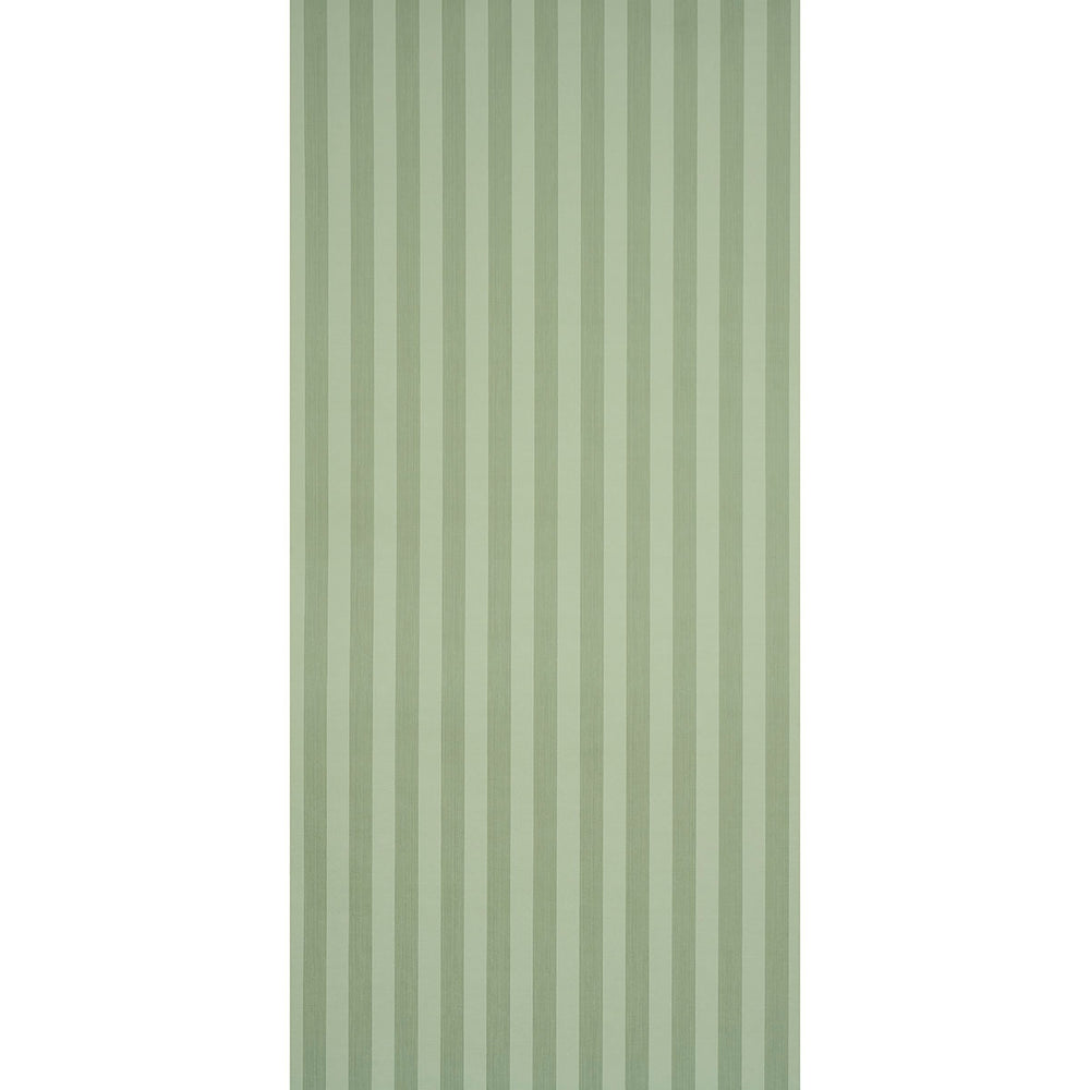 Edwin Stripe Medium | Sage